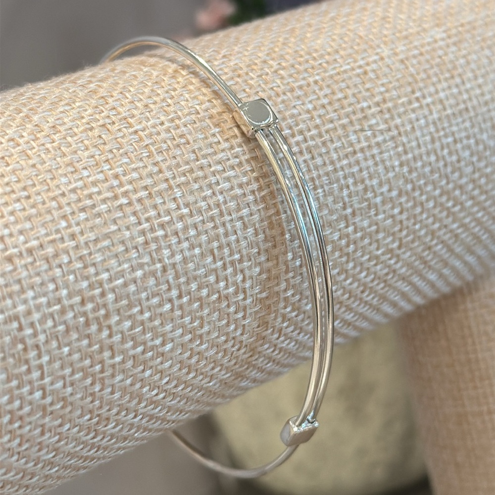 Alex and Ani Sterling Silver Bangle